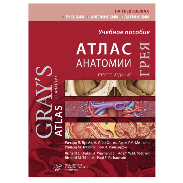 Книга "Атлас анатомии Грея — 2-е издание", Дрейк Р.Л. Фогль А.У. Митчелл А.У.М.